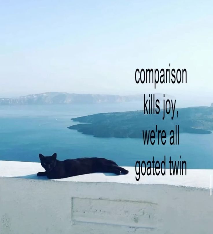 Meme saying comparison kills joy, we're all goated twin